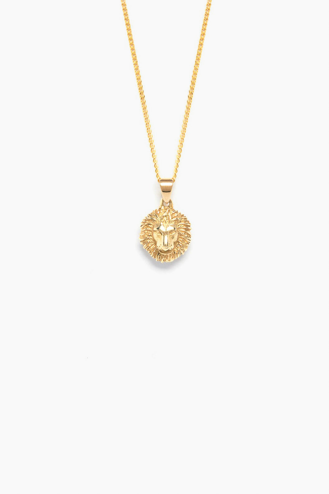 Lion Necklace