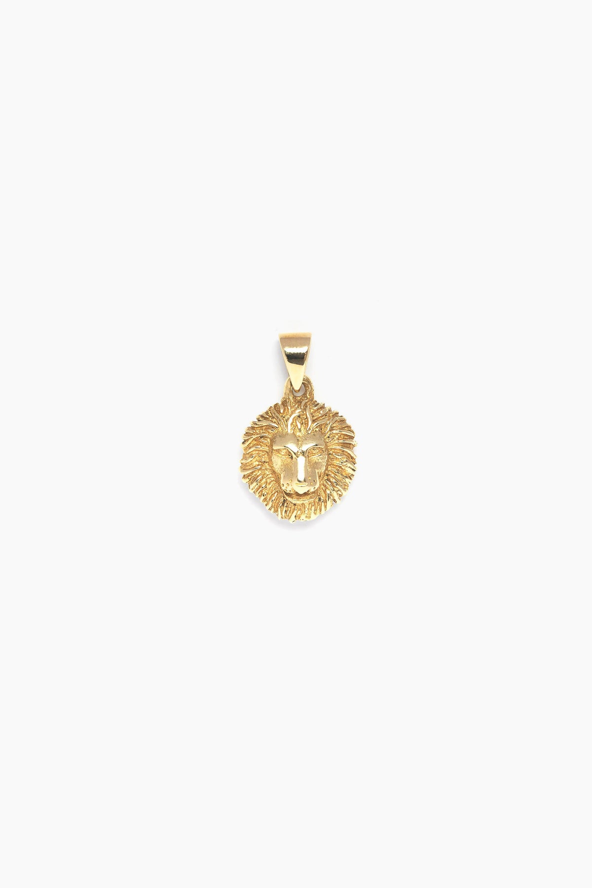 Lion Pendant